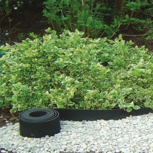 Újrahasznosított gumi ágyásszegély 0